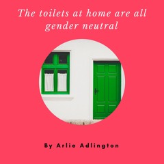 The toilets at home are all gender neutral
