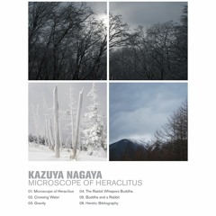 Kazuya Nagaya - Microscope of Heraclitus (preview)