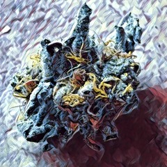 You Gotta Move On (prod. w/ Brian Pacilio)