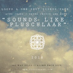 Sounds Like Plusculaar 2018 - Samples Pack - AUDIO DEMO