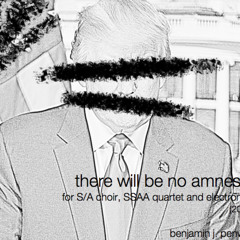 there will be no amnesty