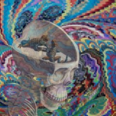 NAUT - LIZARD BRAIN