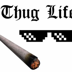 Smoke Weed Everday
