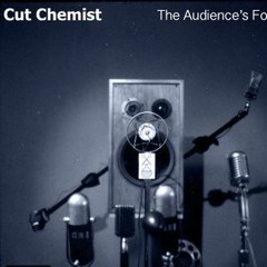 Cut Chemist Interview On KBUT