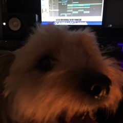 BOB'S RIDDIM V1 (TEST)
