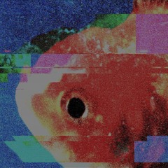 Vince Staples - BagBak {Zulu warrior Flip}