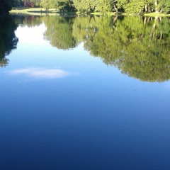 Isht Vahn - Ne Me Quitte Pas