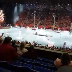 Ringling bros