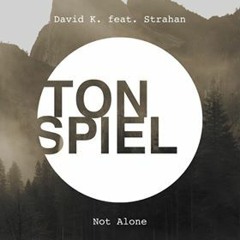 David K. feat. Strahan - Not Alone (einsauszwei Remix)