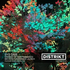 Syd Gris - DISTRIKT Music - Episode 173