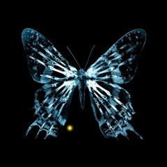 Butterfly Effect- (M.A.G.I.C MiXX) Prod. By Laparo
