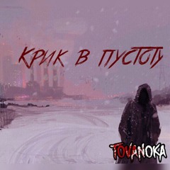 Крик в пустоту