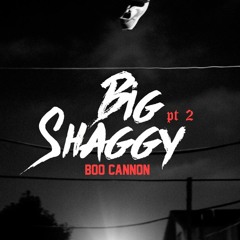 Big Shaggy Pt. 2 (Prod. Jay P Bangs)
