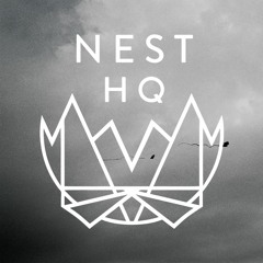 NEST HQ Guest Mix: Sontag Shogun (A Shimmering Fog the Color of a Highway)