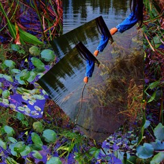 The SC Project - Second Chant (Felony District Mix)