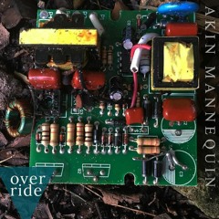 Akin Mannequin - Override