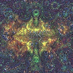 Hänsel - 2D Universe