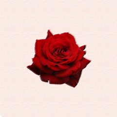 6NUEVE - ROSE (FEAT. ALPHA)
