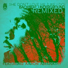 She Don't Love Me (Like I Do) ft. Aaron Abernathy (Thunderball Remix)