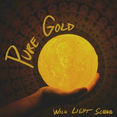 Wild Light Sound - Pure Gold