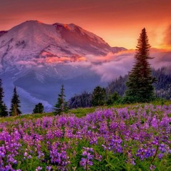 I Cannot Breathe Enough of Thee