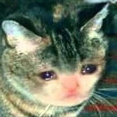 Young Nature - Save The Animals (Prod. TREETIME)