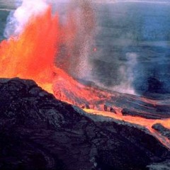 That's My Favorite #1