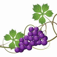 181 - Wemi Mama Midhi Vela