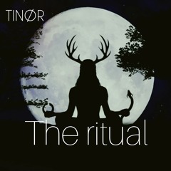 TINØR-The Ritual(Original Mix)