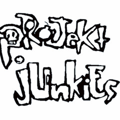 Projekt Junkies - Go Krazy