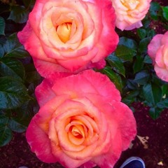 Fk'n With Me (Prod. Syndrome)