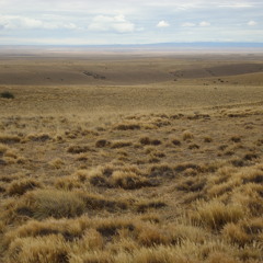 La Steppe