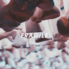 F R A G I L E