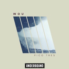 Wou - Pico Tres