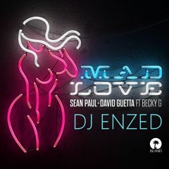 DJ ENZED - Sean Paul, David Guetta - Mad Love Mashup