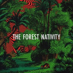 FREE DL : Nala - The Forest Nativity (Original Mix)