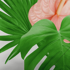 PREMIERE: Hatchback - Haiphong Boogie [Lo Recordings]