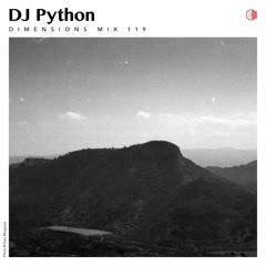 DIM 119 - DJ Python