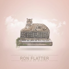 Ron Flatter - Muscle Of Synths - PLV032