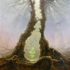 Spring Meditation Live From The Church