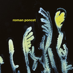 Roman Poncet - Gypsophila (FIGURELP02) preview