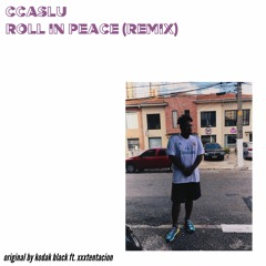 ccaslu - roll in peace (remix)