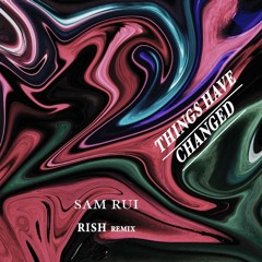 Sam Rui - Things Have Changed - Rish Remix