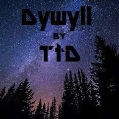 Dywyll (Original Mix)