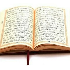 الشيخ حجاج الهنداوي تلاوة رائعة سورة المائدة