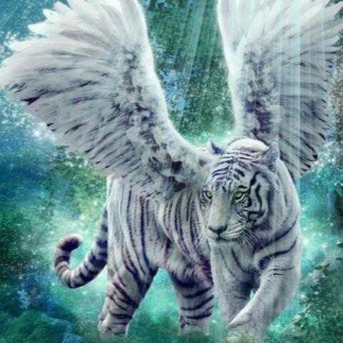 نغمة ♡》يا حيات الروح 《《♡.٠