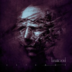 Lunatic Soul - Untamed (from Under The Fragmented Sky)