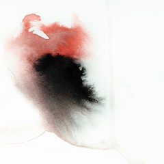 Where's Your Conscience?