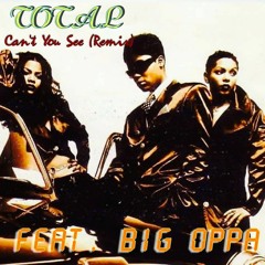 Can't You See (Remix)(Dirty Mix)(feat. Total)