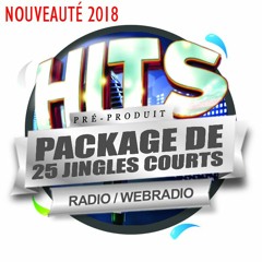 Démo 25 Jingles TOP 40 (Weeko, Cécile)